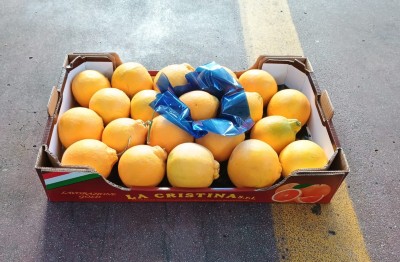 Foto Arance Tarocco Calibro 4 Origine Italia Marchio Cristina  1